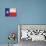 Texas Flag Distressed Art Print Poster-null-Poster displayed on a wall