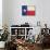 Texas Flag Distressed Art Print Poster-null-Poster displayed on a wall