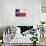 Texas Flag Distressed-null-Art Print displayed on a wall