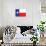 Texas Flag-null-Art Print displayed on a wall