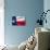 Texas Flag-Xtremer-Mounted Art Print displayed on a wall