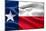 Texas Flag-Xtremer-Mounted Art Print