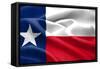 Texas Flag-Xtremer-Framed Stretched Canvas