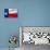 Texas Flag-Xtremer-Stretched Canvas displayed on a wall