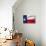 Texas Flag-Xtremer-Stretched Canvas displayed on a wall