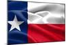 Texas Flag-Xtremer-Mounted Premium Giclee Print