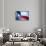 Texas Flag-John Gusky-Framed Stretched Canvas displayed on a wall