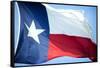Texas Flag-John Gusky-Framed Stretched Canvas