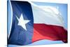 Texas Flag-John Gusky-Stretched Canvas