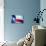 Texas Flag-John Gusky-Photographic Print displayed on a wall