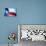 Texas Flag-John Gusky-Photographic Print displayed on a wall