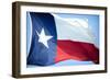 Texas Flag-John Gusky-Framed Photographic Print