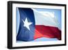 Texas Flag-John Gusky-Framed Photographic Print