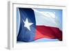 Texas Flag-John Gusky-Framed Photographic Print