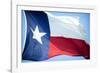 Texas Flag-John Gusky-Framed Photographic Print