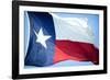 Texas Flag-John Gusky-Framed Photographic Print