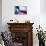 Texas Flag-John Gusky-Mounted Photographic Print displayed on a wall