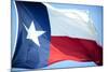 Texas Flag-John Gusky-Mounted Photographic Print