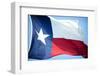 Texas Flag-John Gusky-Framed Photographic Print