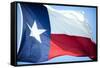 Texas Flag-John Gusky-Framed Stretched Canvas