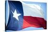 Texas Flag-John Gusky-Stretched Canvas