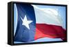 Texas Flag-John Gusky-Framed Stretched Canvas