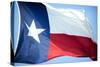 Texas Flag-John Gusky-Stretched Canvas