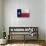 Texas Flag-Trends International-Poster displayed on a wall