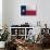 Texas Flag-Trends International-Poster displayed on a wall