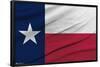 Texas Flag-Trends International-Framed Poster