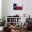 Texas Flag-Trends International-Mounted Poster displayed on a wall