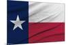 Texas Flag-Trends International-Mounted Poster