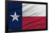 Texas Flag-Trends International-Framed Poster