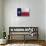 Texas Flag-Trends International-Stretched Canvas displayed on a wall