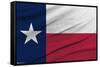 Texas Flag-Trends International-Framed Stretched Canvas