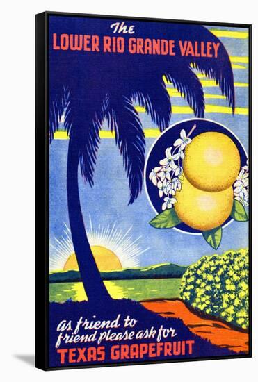 Texas Grapefruit-Curt Teich & Company-Framed Stretched Canvas