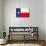 Texas Grunge Flag-TINTIN75-Art Print displayed on a wall