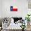 Texas Grunge Flag-TINTIN75-Art Print displayed on a wall