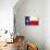 Texas Grunge Flag-TINTIN75-Stretched Canvas displayed on a wall