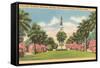 Texas Heroes Monument, Galveston, Texas-null-Framed Stretched Canvas