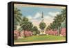 Texas Heroes Monument, Galveston, Texas-null-Framed Stretched Canvas