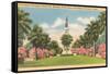 Texas Heroes Monument, Galveston, Texas-null-Framed Stretched Canvas