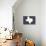 Texas - Home State - White on Gray-Lantern Press-Art Print displayed on a wall