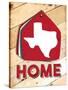 Texas Home Swatch-Jace Grey-Stretched Canvas