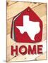 Texas Home Swatch-Jace Grey-Mounted Art Print