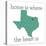Texas Home-N. Harbick-Stretched Canvas