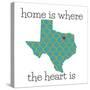 Texas Home-N. Harbick-Stretched Canvas