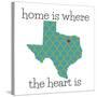 Texas Home-N. Harbick-Stretched Canvas