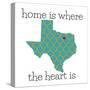 Texas Home-N. Harbick-Stretched Canvas