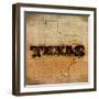 Texas Lone Star-SD Graphics Studio-Framed Art Print